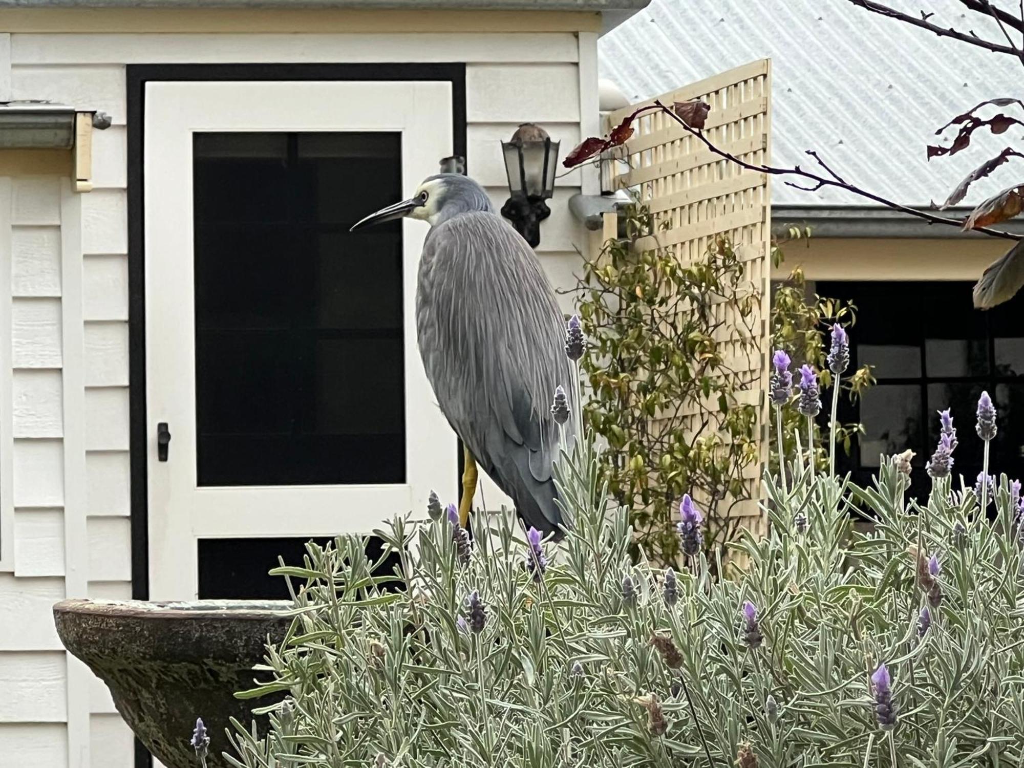 Yelki By The Sea Hotel Encounter Bay Luaran gambar