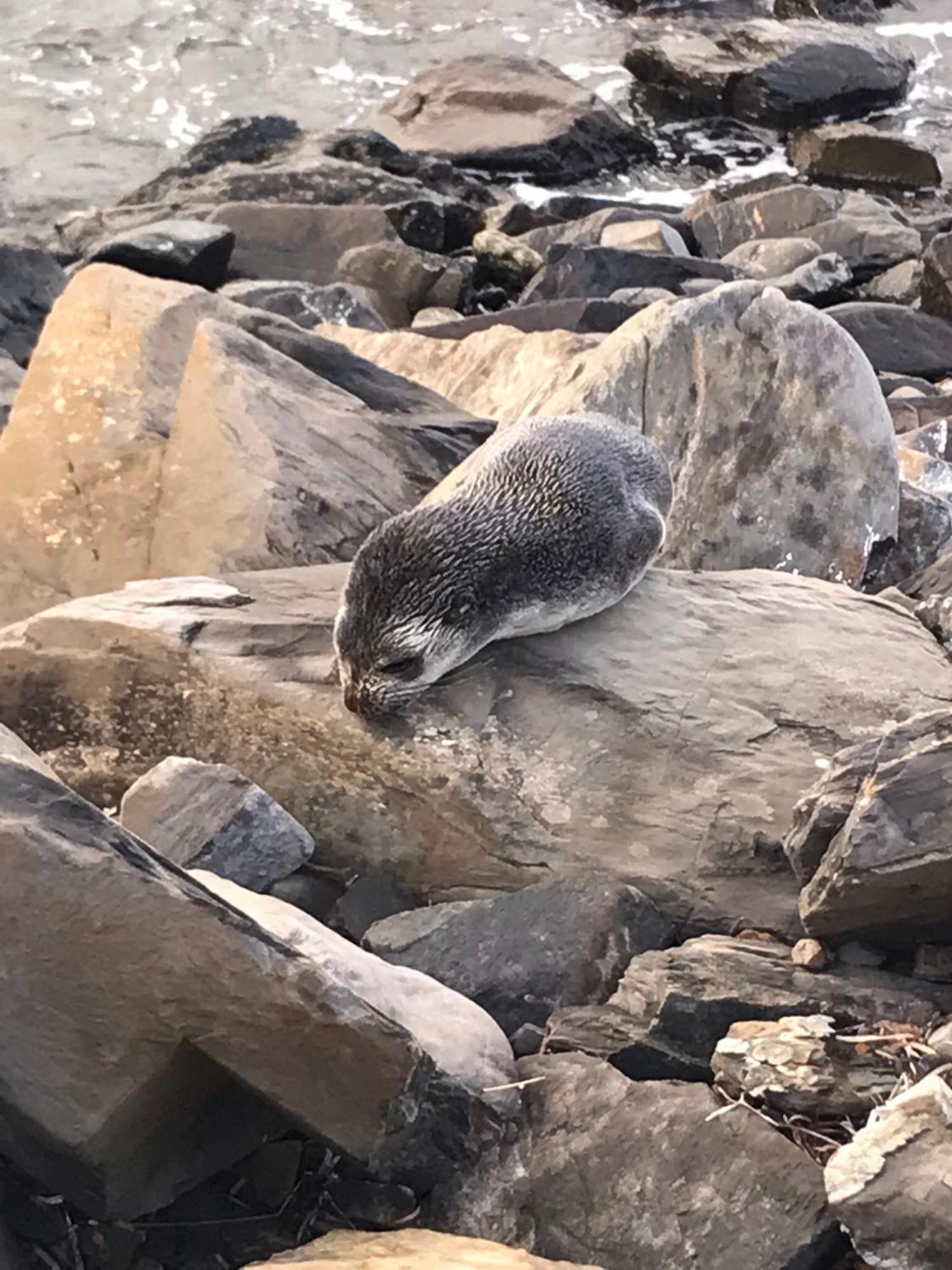 Yelki By The Sea Hotel Encounter Bay Luaran gambar