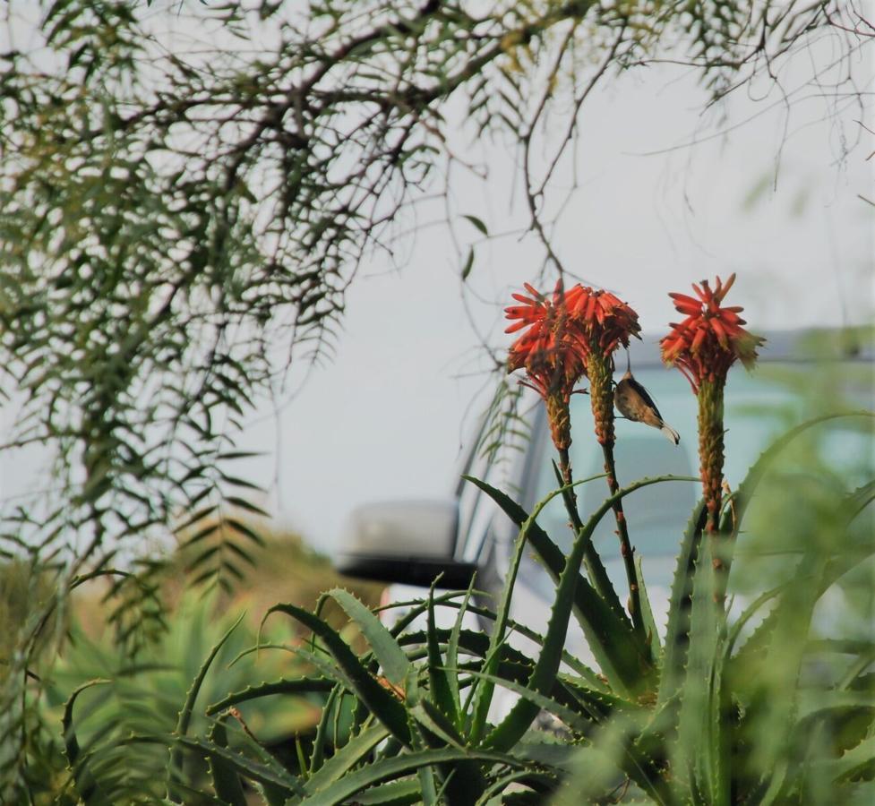 Yelki By The Sea Hotel Encounter Bay Luaran gambar